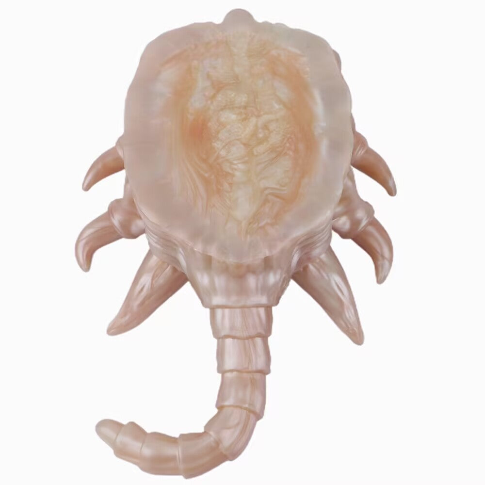 Bottom view of alien facehugger fantasy stroker displaying smooth base and multi-legged shape