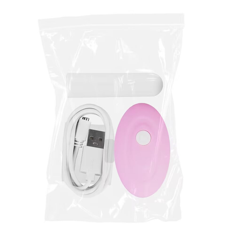 Sealed clear pouch containing pink wireless remote controller, vibrating bullet, and white USB charging cable.